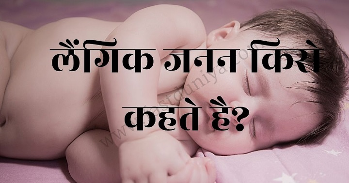 अलैंगिक जनन किसे कहते हैं? Alangik Janan Kise Kahte Hai अलैंगिक जनन किसे कहते हैं Alangik Janan Kise Kahte Hai