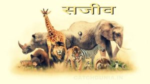 Sajeev Kise Kahate Hain