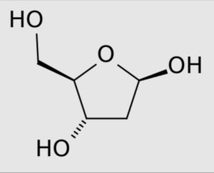 Shar Kise Kahate Hain