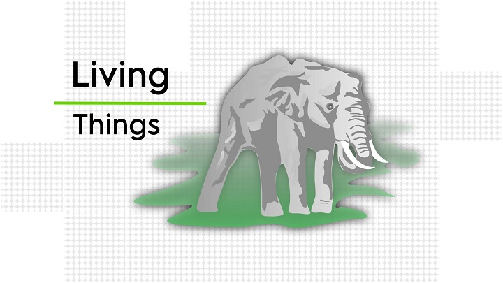 Understanding “Sajeev Kise Kahate Hain” – Unveiling the Meaning Understanding Sajeev Kise Kahate Hain Unveiling the Meaning